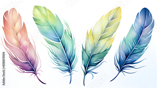 Watercolor feathers in the pastel color blue and green pattern abstract graphic poster background © yonshan