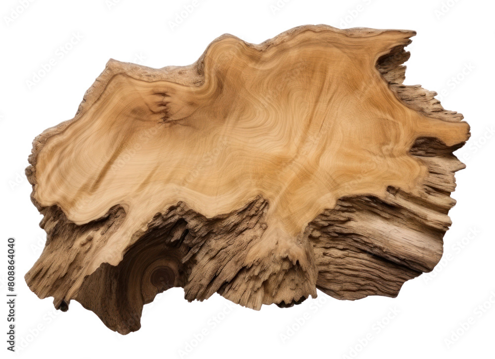 Wooden podium with bark wood slab female person plant. Wooden podium with bark wood slab female person plant.