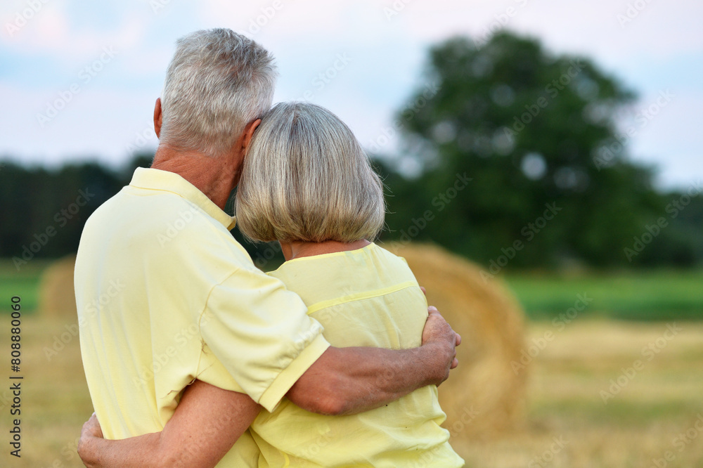 Loving mature couple in field at summer,back view