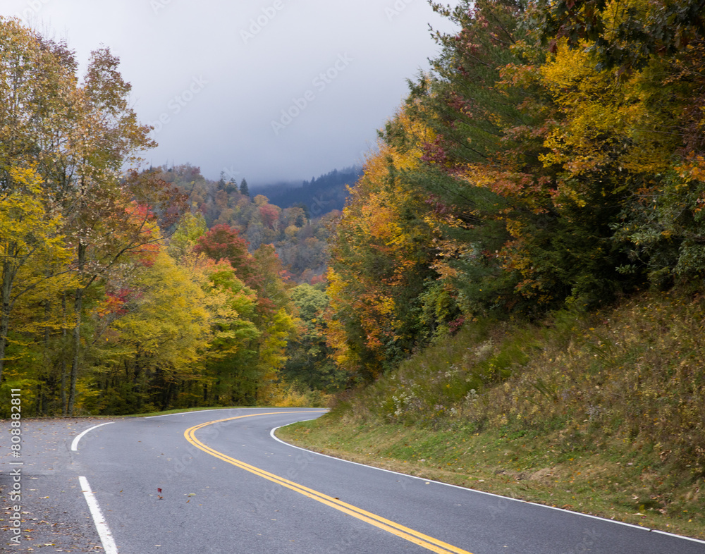 Fototapeta premium Road through the Autumn Woods