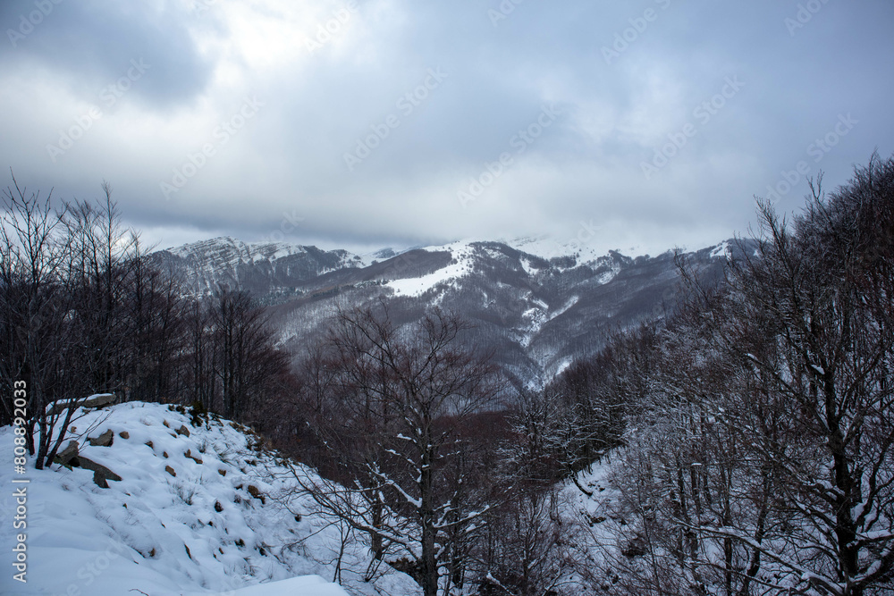 Camminata per il Monte Giovo, provincia di Modena, Emilia Romagna Camminata per il Monte Giovo, provincia di Modena, Emilia Romagna
