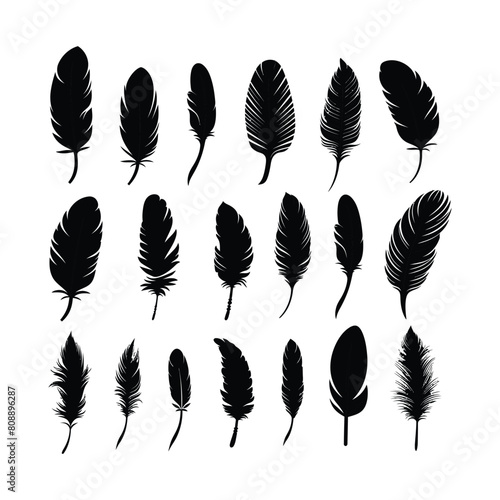 black feather icons isolate silhouette Set Clipart on a white background