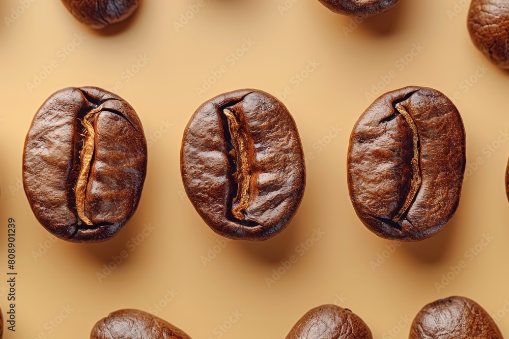 Fototapeta premium Coffee grains background. Coffee bean