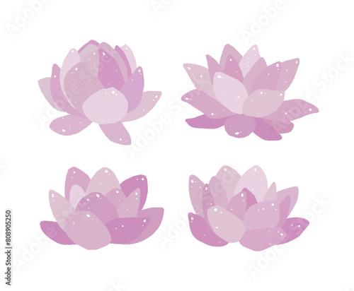 A set of hand-drawn illustrations of the  lotus   a symbol of  Buddha s Birthday . Lotus flowers grow in ponds  and their roots are called lotus roots.