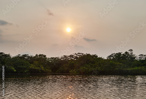 Lake and landscape of the Cuyabeno wildlife reserve at sunset, Amazon rainforest, Ecuador, South America