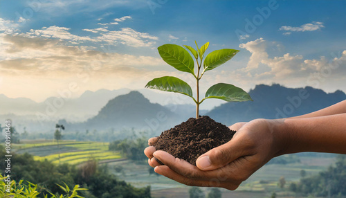 Design of a person holding a young plant in soil against a blue sky, illustrating the new life and sustainable ecology