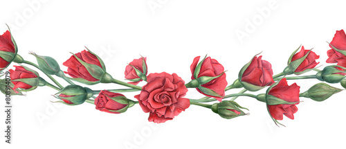Red roses. Intertwined flower stems. Wave floral banner. Blooming summer flowers with scarlet petals. Watercolor botanical illustration. For wedding design, memorial day. Mother day celebration