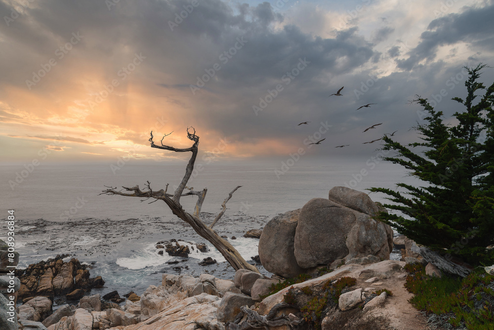 Serene coastal scenery on 17 Mile Drive, California, USA. Rugged terrain with boulders and weathered trees. Calm ocean, birds in the sky, golden light.