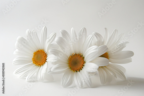 three white flowers are sitting on a table