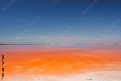 Vibrant pink lake under blue sky at Alviso Pink Lake Park  California. Mineral rich water creates gradient from light to intense pink. Serene natural beauty.