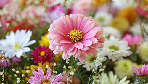 Flower among other flowers in a decorative display