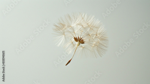Single Dandelion Seed Floating Against Soft Beige Background Gentle Fragility Nature Concept