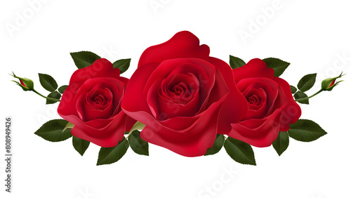 Red roses isolated on transparent background. PNG