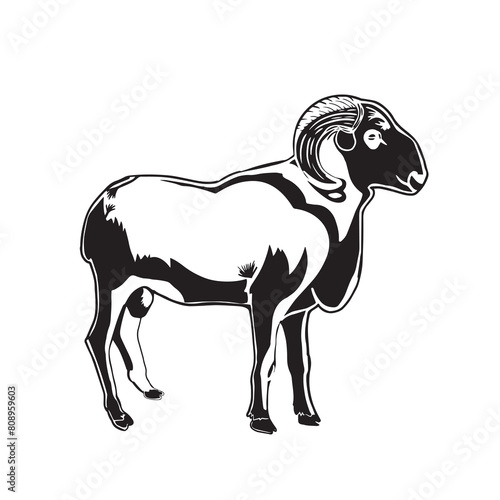 hand sketch  sheep icon  sacrifice icon  Eid al-Adha vector