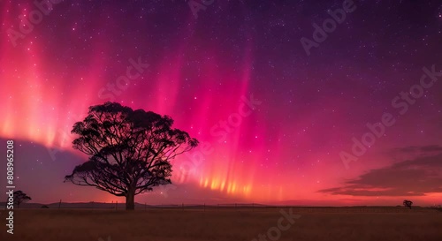 A beautiful landscape of a tree in a field with a starry night sky and aurora australis.