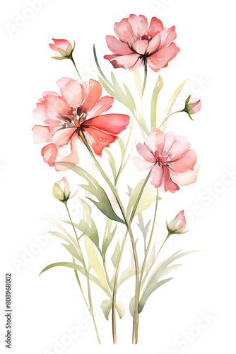 The image shows a bouquet of pink cosmos flowers with buds © Krungpol