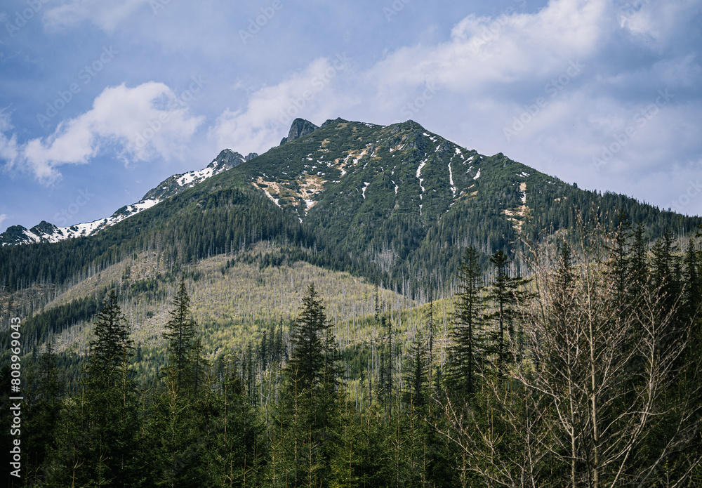 A mountain with a rocky face and trees
