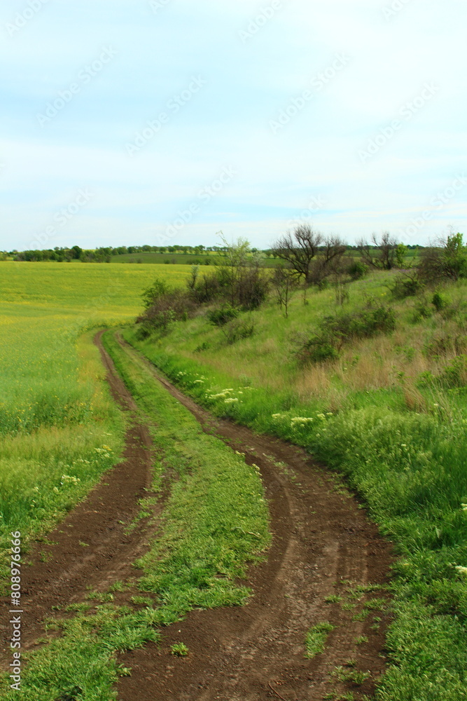 A dirt road in a field A dirt road in a field