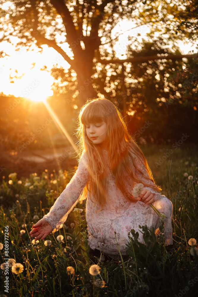 children's photo session with dandelions and a butterfly at sunset children's photo session with dandelions and a butterfly at sunset