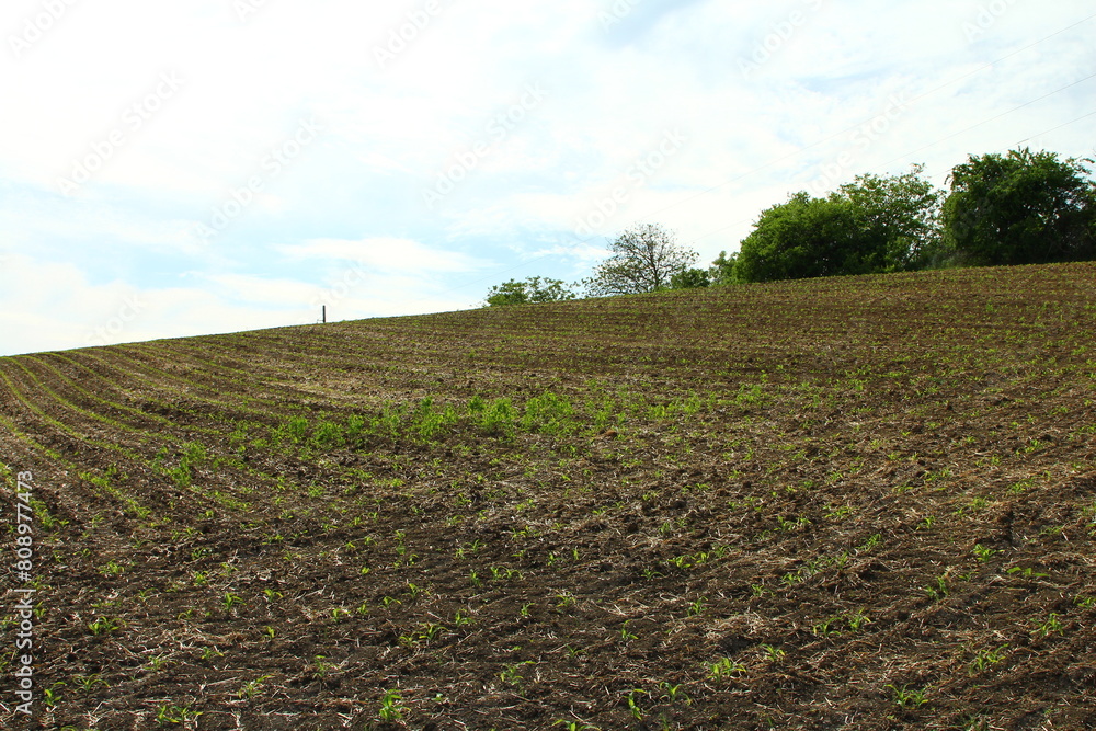 A field of dirt A field of dirt