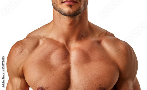 Close-up of a fit male torso showing detailed muscles isolated on transparent background png