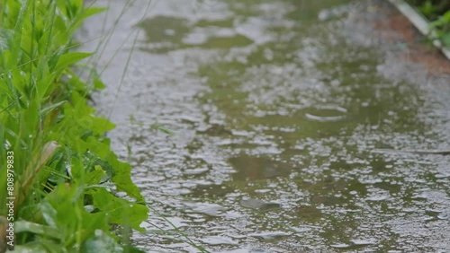 Raindrops falling on the slow motion road. Drops of rain fall on the sidewalk. Shower slow motion