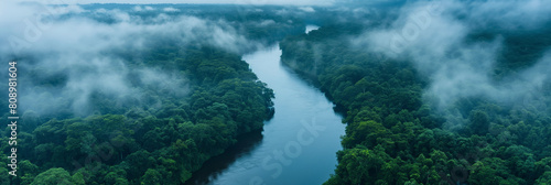 A river with a thick forest on either side