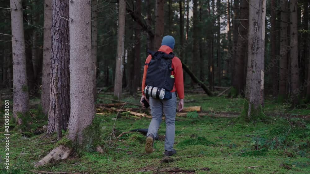 Hiking, forest, travel, active healthy lifestyle, adventure, vacation concept. Man wandering in deep forest with rucksack. Single male goes along woods trail. Autumn season. Solo outdoors activity. Hiking, forest, travel, active healthy lifestyle, adventure, vacation concept. Man wandering in deep forest with rucksack. Single male goes along woods trail. Autumn season. Solo outdoors activity.