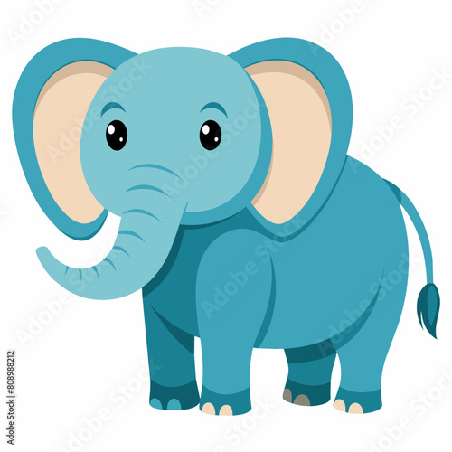 elephant on white background 