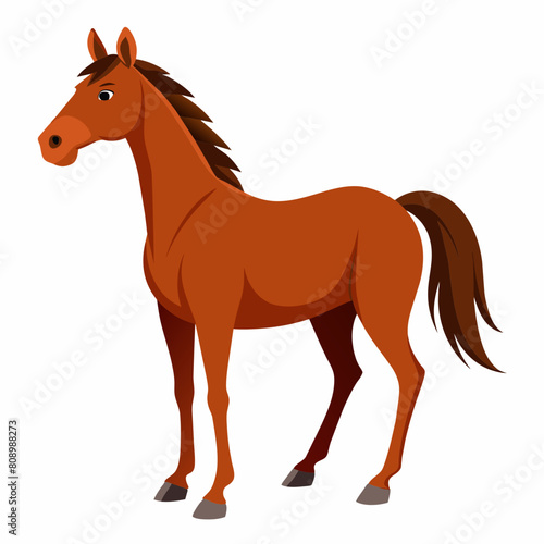 horse on white background 