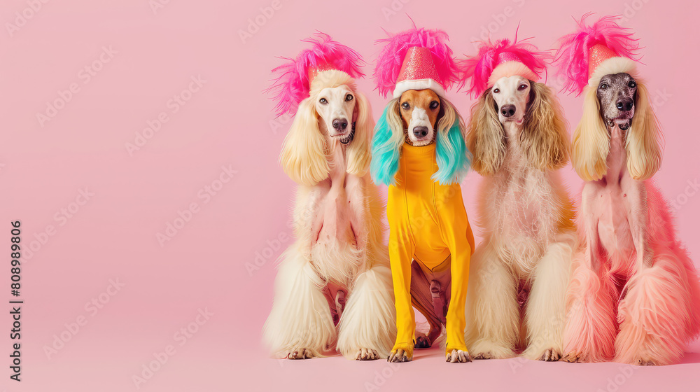 Afghan Hound dogs in a group, wearing hats and bright fashionable outfits isolated on solid pastel background advertisement, copy space. birthday party invite invitation banner
