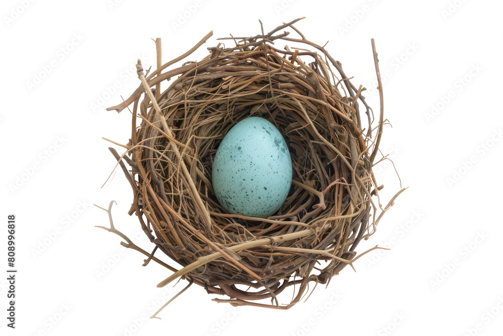 Bird nest with one egg isolated on transparent background Bird nest with one egg isolated on transparent background