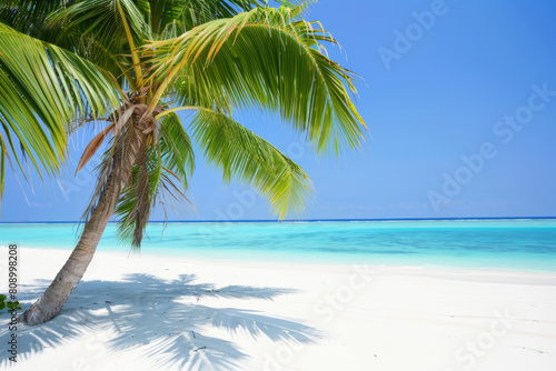 Sea sandy beach background