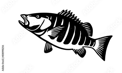 fish icons isolated on white background