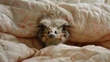 an ostrich nestled comfortably under a quilt, its long neck peeking out from beneath the cozy fabric