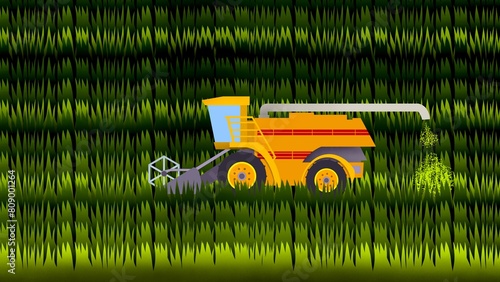 Agricultural rice harvester machine, Tractor working on the rice fields barley farm, agricultural transport, a rice harvester machine in the middle of harvesting paddy fields, Ripe rice harvesting