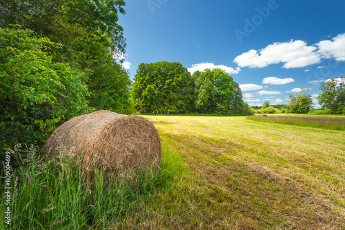 A bale of hay lies in the shade of trees next to a mown meadow, summer view in Nowiny, eastern Poland