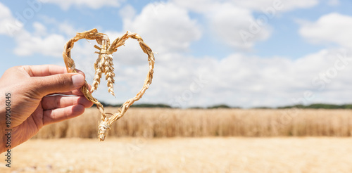Herz aus Ähren in einer Hand vor einem Kornfeld im sommer