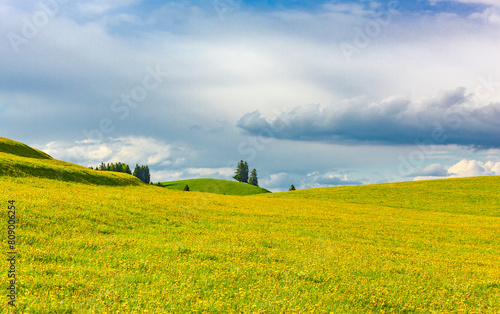 Hügelige Landschaft mit blauem wolkigem Himmel und Gelber Blumenwiese