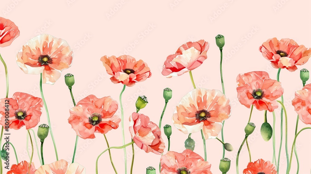 watercolor pastel poppy flowers pattern frame with copy space.