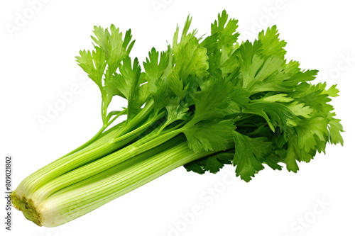 PNG Celery vegetable parsley plant photo