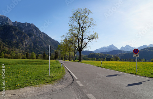 romantic road leading through the scenic, lush green alpine meadows in the Bavarian Alps on a sunny spring evening (Allgaeu, Schwangau, Bavaria, Germany)
