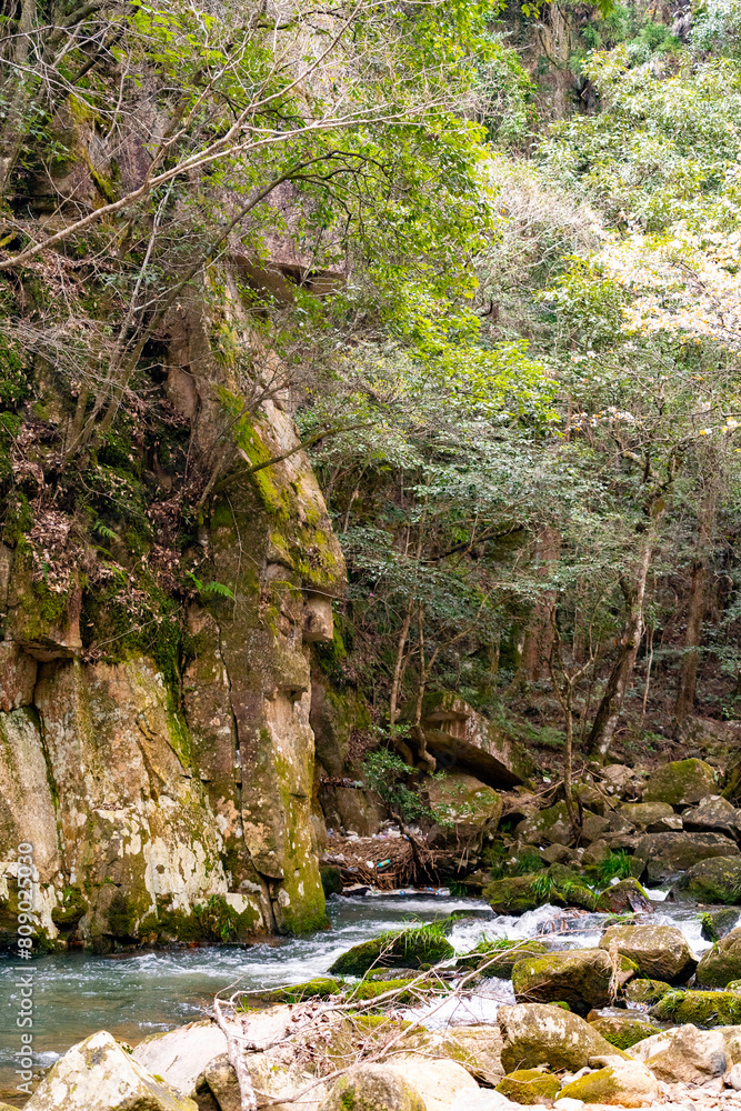 Fototapeta premium 豪渓の風景