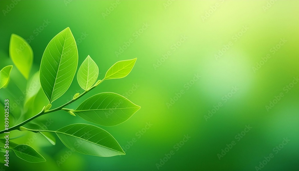 Fototapeta premium Lush green foliage against a soft, blurred green backdrop, representing fresh growth
