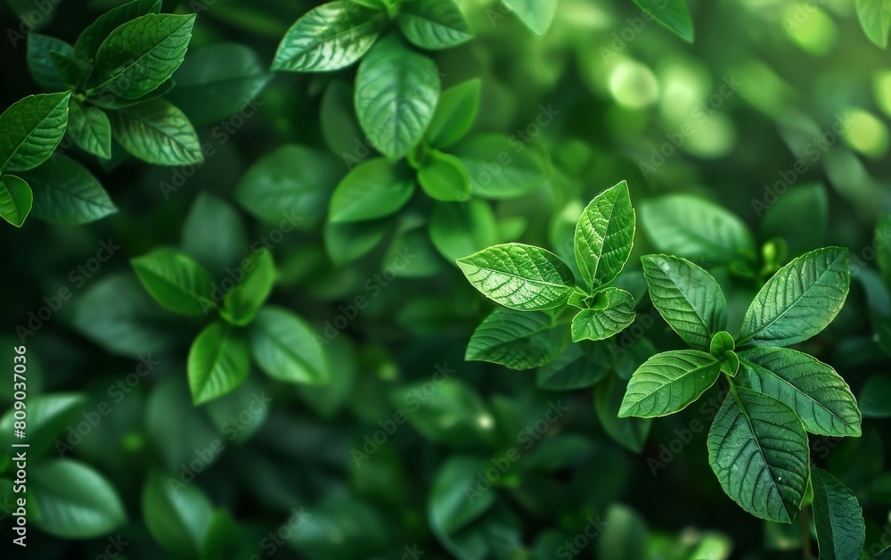 The background of eco-friendly products The background of eco-friendly products