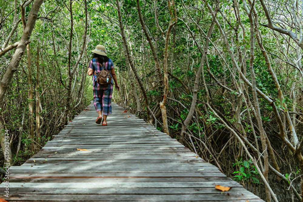 Back view of happy woman wear hat with bag travel walk alone through on bridge wood with beautiful view of mangrove forest. Female tourists refreshing and walk in the mangrove forest on vacation.