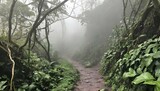 A rugged jungle path veiled in mist and overhung w upscaled 2