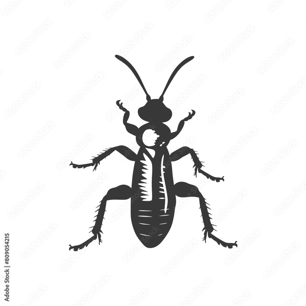 Silhouette termite animal full body black color only Silhouette termite animal full body black color only