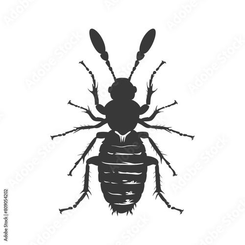 Silhouette termite animal full body black color only