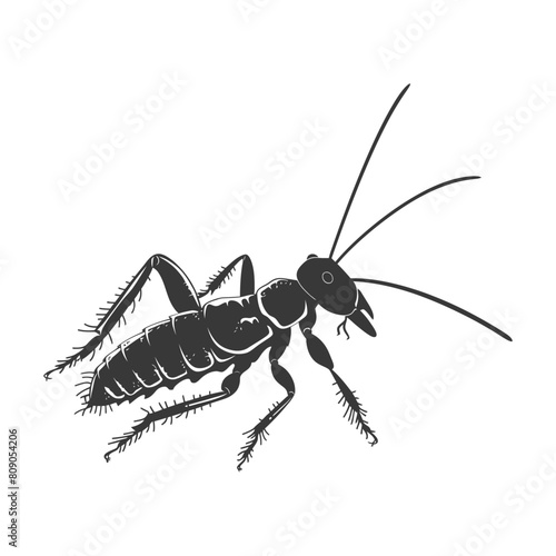 Silhouette termite animal full body black color only
